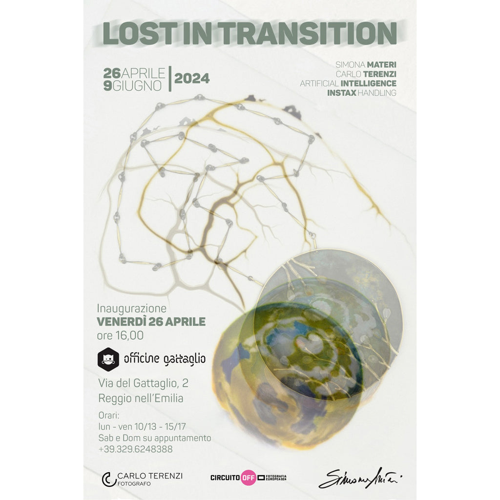 LOST IN TRANSITION