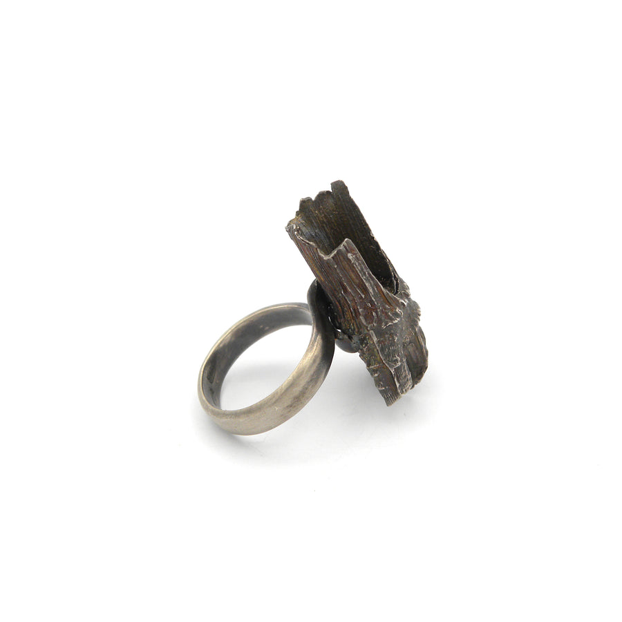 Ring with trunk section